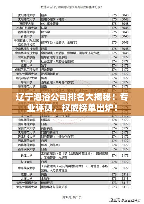 辽宁泡浴公司排名大揭秘！专业评测，权威榜单出炉！