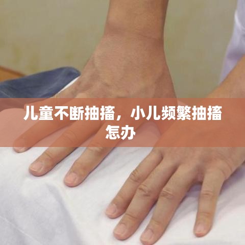 飞禽走兽