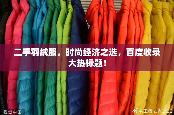 二手羽绒服，时尚经济之选，百度收录大热标题！