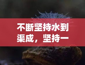 不断坚持水到渠成,坚持一定会水到渠成