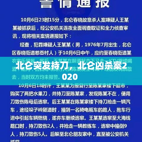 北仑突发持刀，北仑凶杀案2020 
