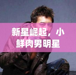新星崛起，小鲜肉男明星潜力无限，未来值得期待