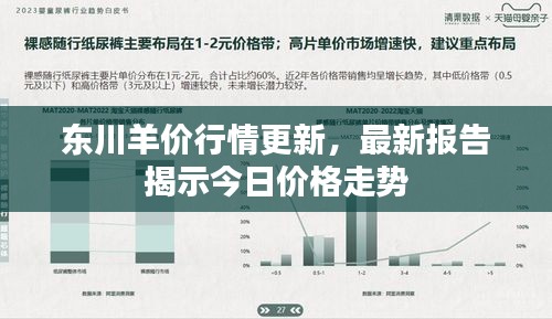 东川羊价行情更新，最新报告揭示今日价格走势