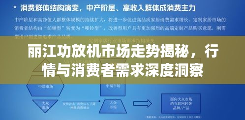丽江功放机市场走势揭秘，行情与消费者需求深度洞察