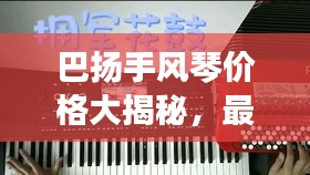 巴扬手风琴价格大揭秘，最新价格表汇总！