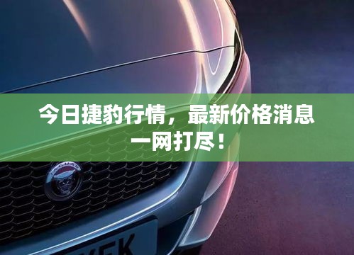 今日捷豹行情，最新价格消息一网打尽！
